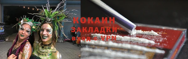 сатива Армянск