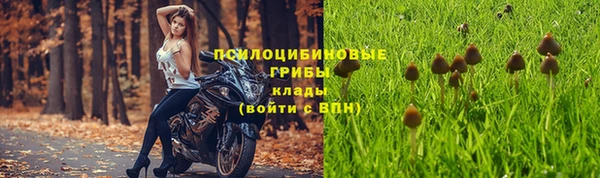 а пвп мука Аркадак
