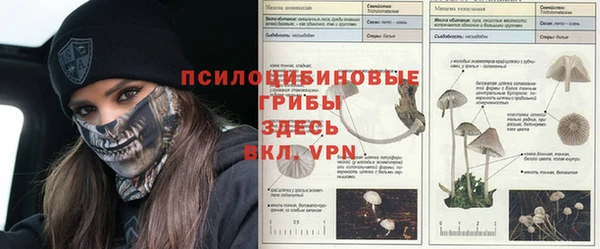 не бодяженный Арсеньев