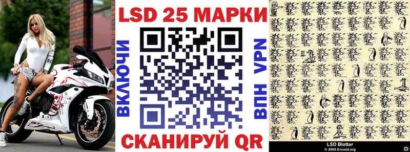 блэк спрут как зайти  Щёлкино  Марки 25I-NBOMe 1500мкг 