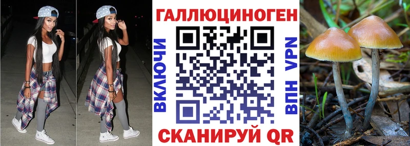 гидра вход  Щёлкино  Псилоцибиновые грибы Cubensis 